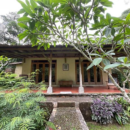 Carik Tangis Boutique Homestay Desa Desa Jatiluwih Exteriör bild