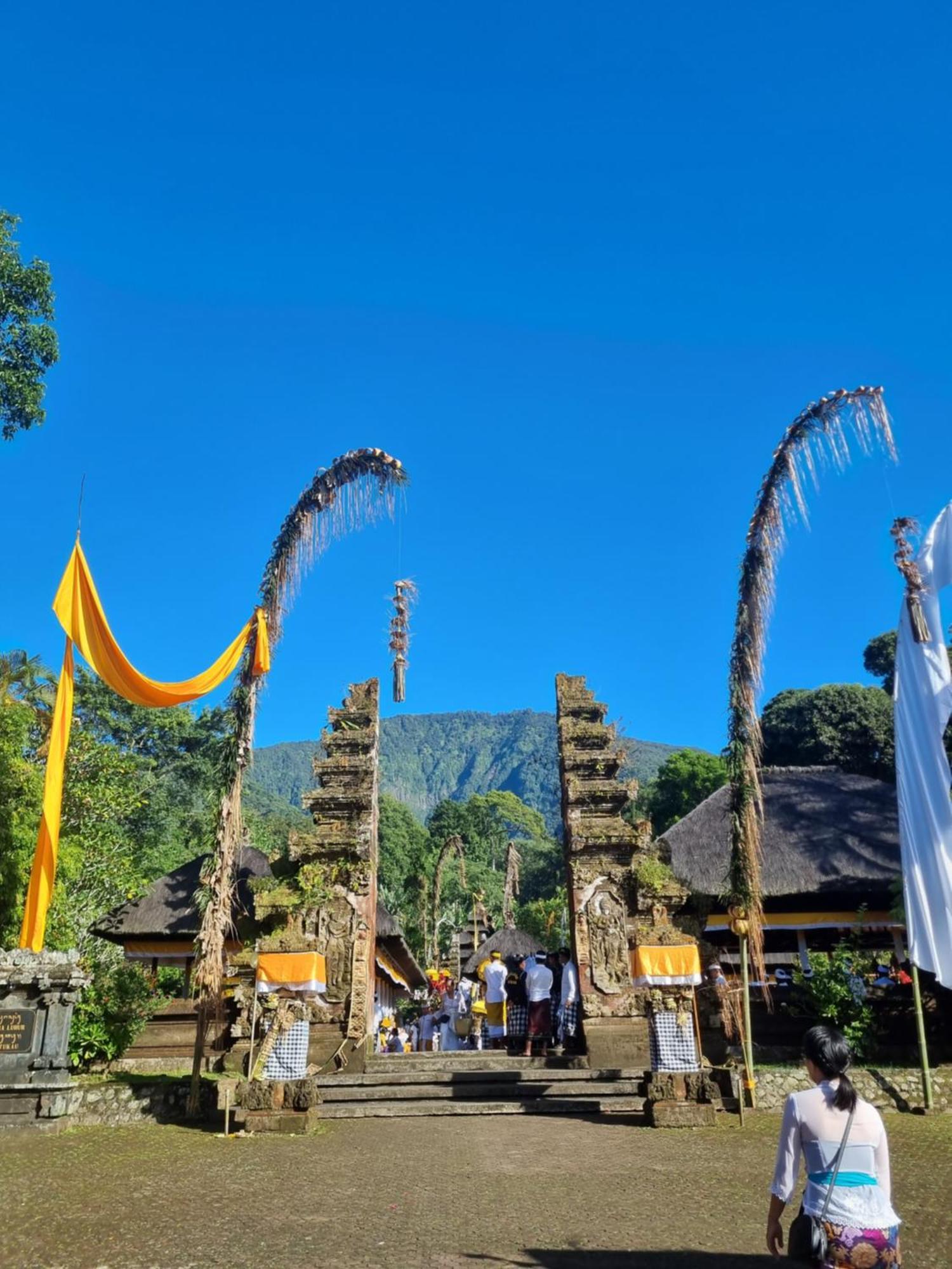 Carik Tangis Boutique Homestay Desa Desa Jatiluwih Exteriör bild