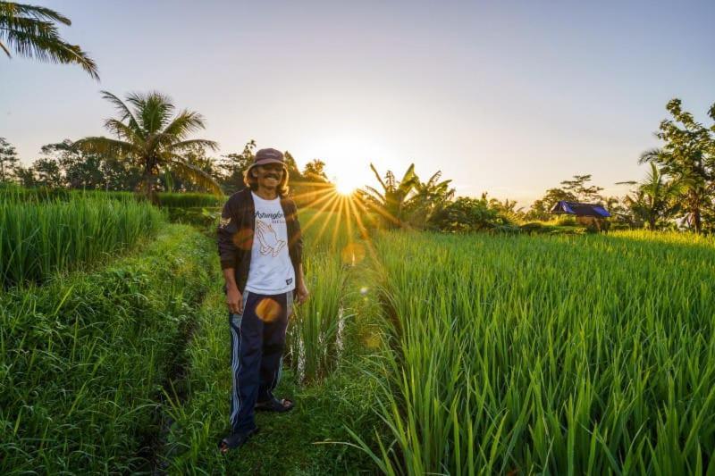 Carik Tangis Boutique Homestay Desa Desa Jatiluwih Exteriör bild