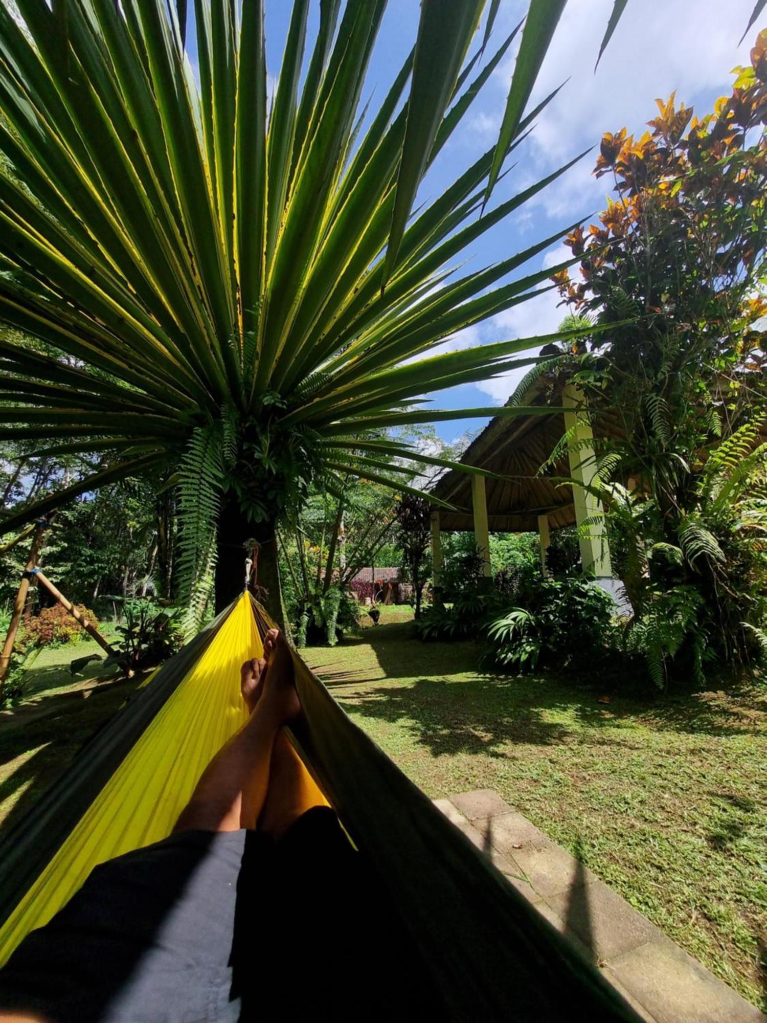 Carik Tangis Boutique Homestay Desa Desa Jatiluwih Exteriör bild