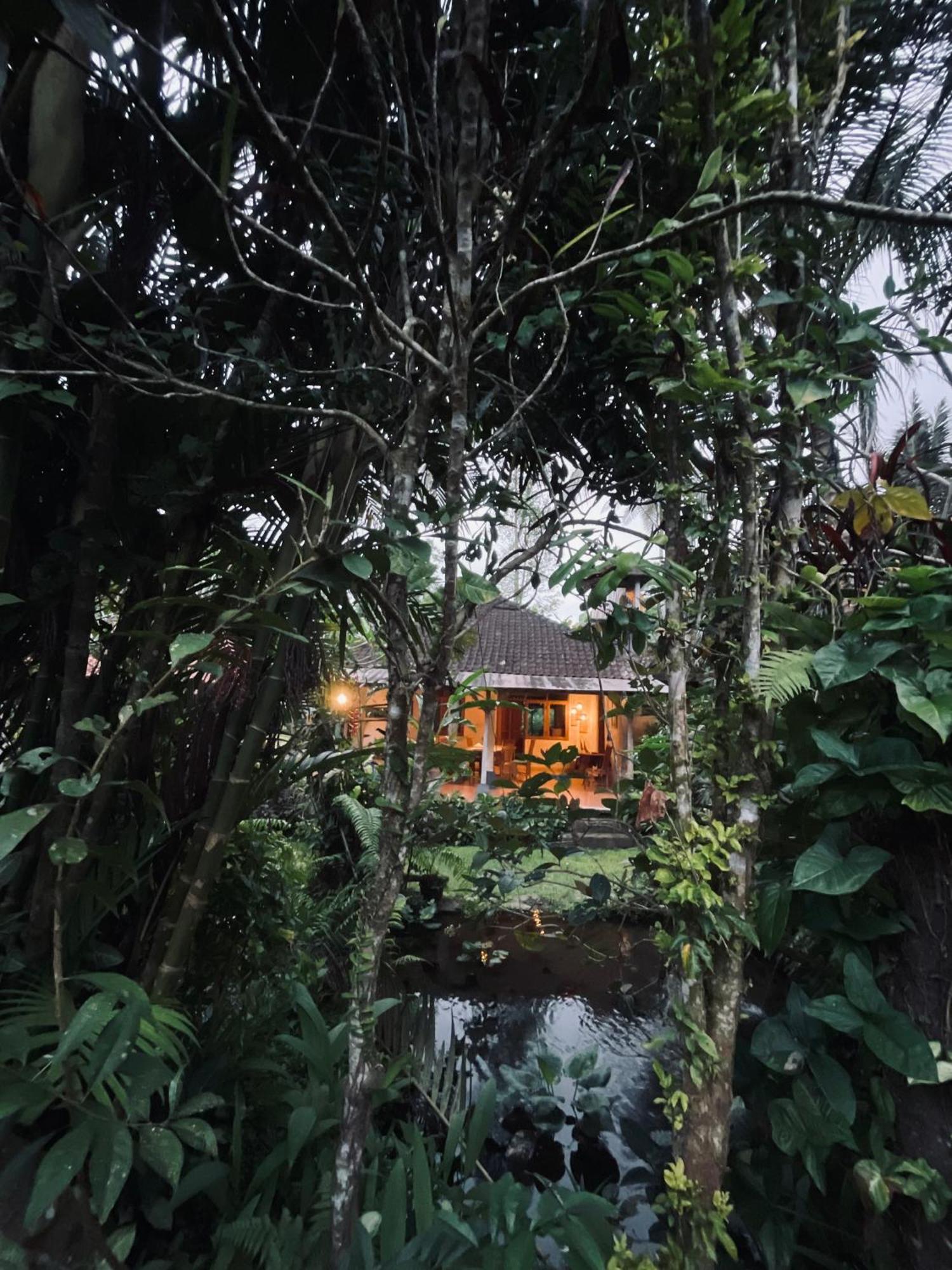 Carik Tangis Boutique Homestay Desa Desa Jatiluwih Exteriör bild