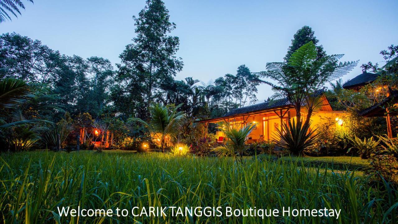 Carik Tangis Boutique Homestay Desa Desa Jatiluwih Exteriör bild